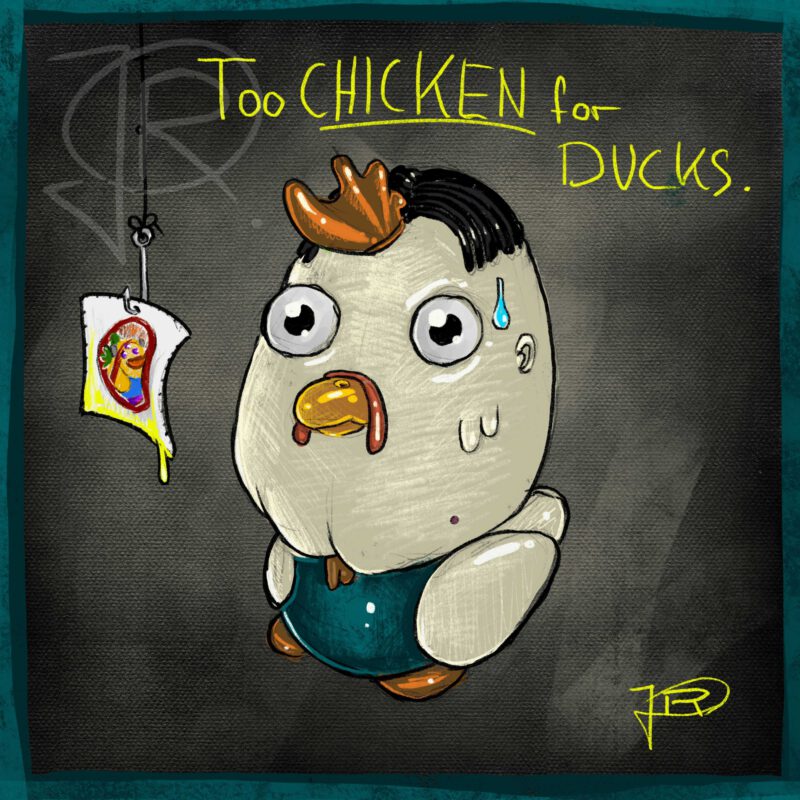 too-chicken-for-ducks