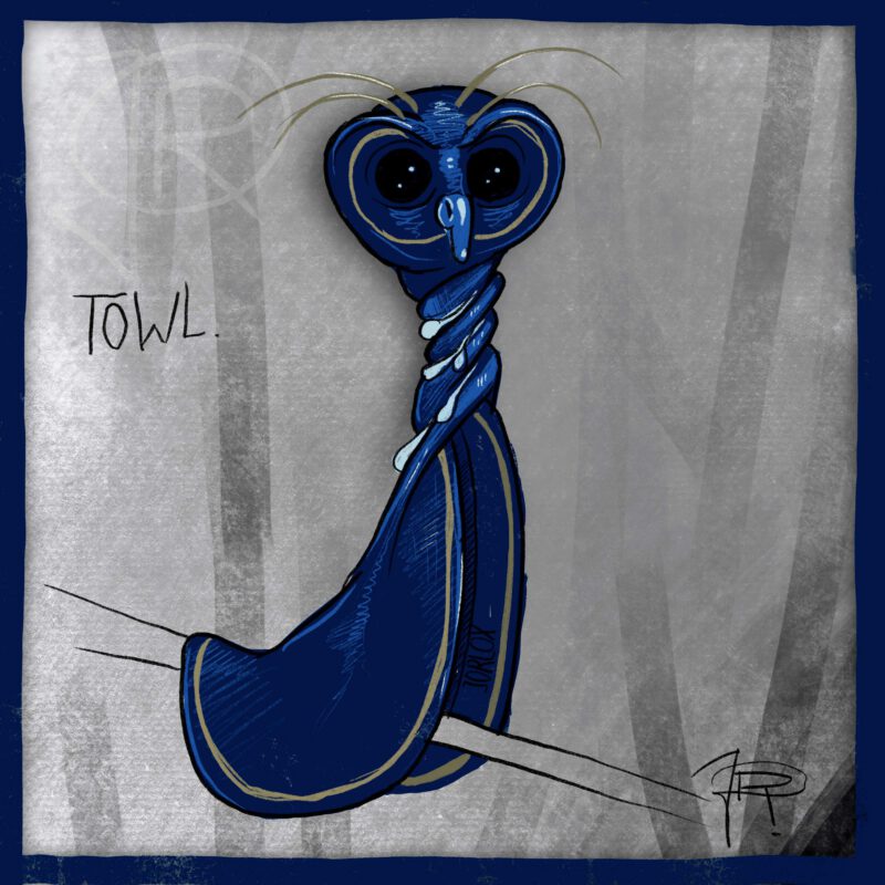 Towl